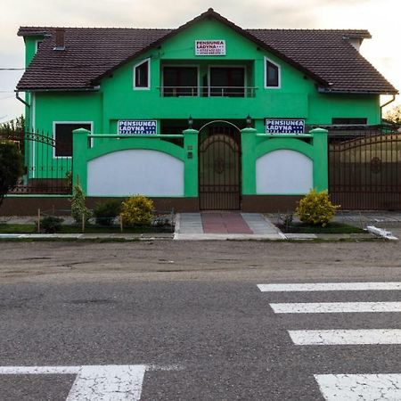 Hotel Pension Ladyna Sebiş Esterno foto