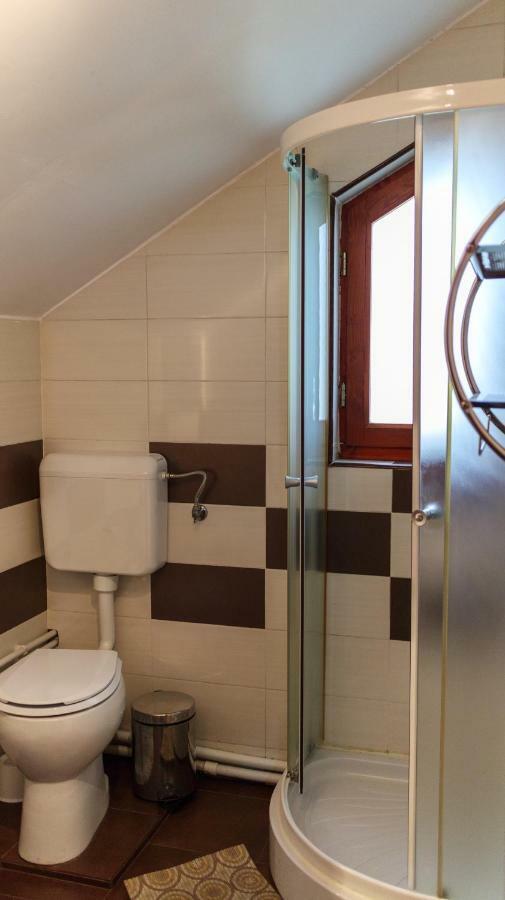 Hotel Pension Ladyna Sebiş Esterno foto
